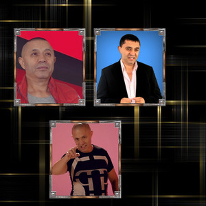 Nicolae Guță - Cine doarme linistit ori e prost ori e tampit (Live)