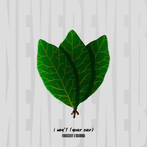 I Won't (Never Ever) by Fokkussiert, Maxømøa