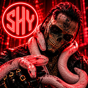 Fractal Frenzy | SHY by shynox_official