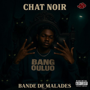Chat Noir -Bande de Malades