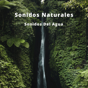Sonidos Naturales: Sonidos Del Agua album