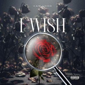 I Wish by Cam Looo