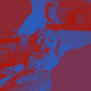 Cool Background for Pups album