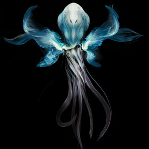 Don't Look at the Sun