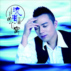 流泪的心窝 - DJ何鹏版 by 王峰