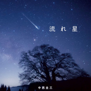 流れ星 by 中西圭三