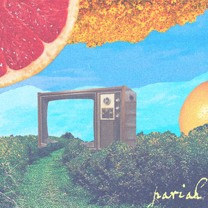 Pariah by Brother Bird