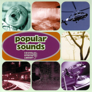 Popular Sounds - Car Horns