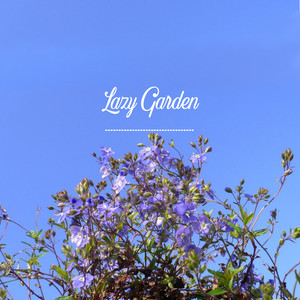 Creeping Speedwell by Lazy Garden (레이지가든)