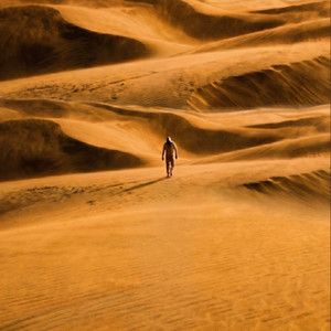 The Dunes by Amar Tattva