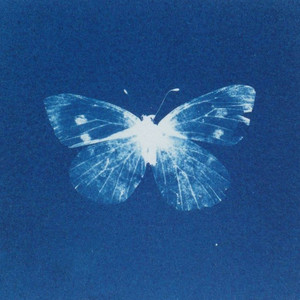 Птичий Привал — Atlantida Getto