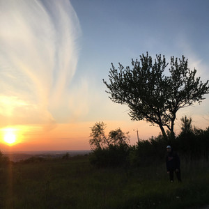 Mazebored — flashbacks: 2019 (side E)