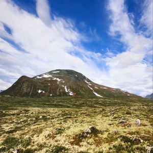 Heroes Almarshoud Band - Alnemh Zawalh