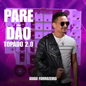 Gugu Forrozeiro - Pane No Sistema