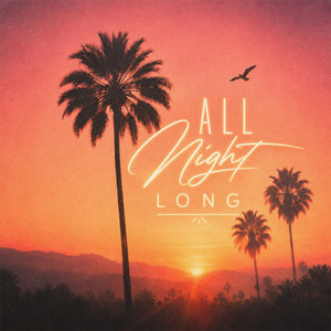 All Night Long by Palmero