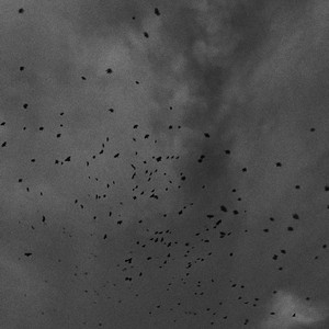 Portada de sky