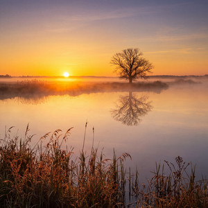 Golden Hour Ghost by Magic Within