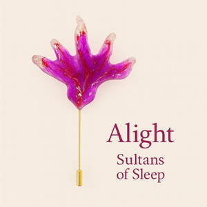Alight by Sultans of Sleep