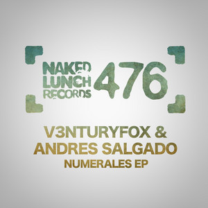 V3nturyfox cover