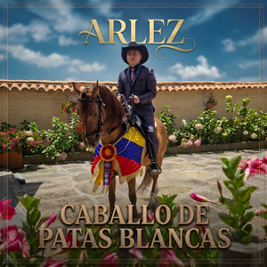 Caballo de Patas Blancas