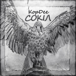 Обкладинка: Сокіл