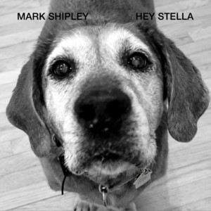 Hey Stella by Mark Shipley