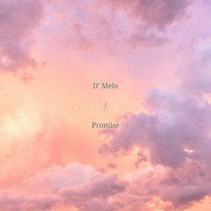 Promise