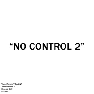 NO CONTROL 2 cover
