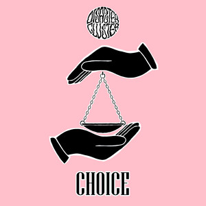 Disaster Cluster — Choice