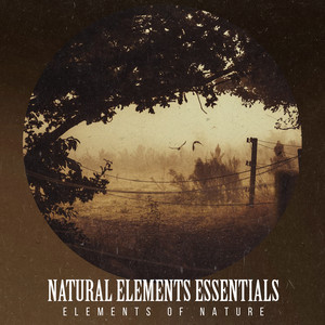 Natural Elements Essentials