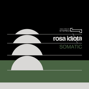 Caustic Dream by Rosa Idiota