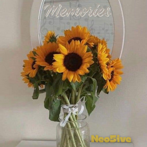 Nana - Memories by Neo5ive