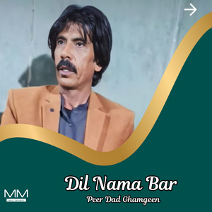 Peer Dad Ghamgeen - Dil Purshta