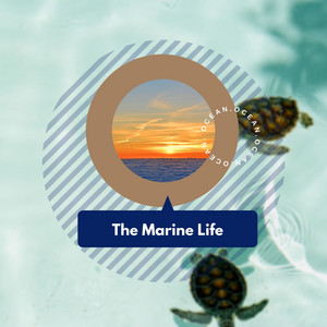 The Marine Life album