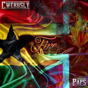Portada de Fire Remix
