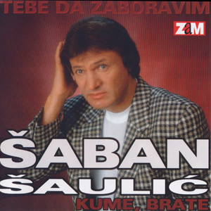 Šaban Šaulić - Tebe Da Zaboravim