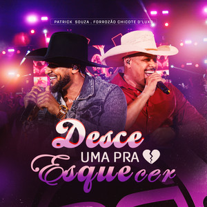 Desce uma pra Esquecer by Patrick Souza, Forrozão Chicote D'Luxo