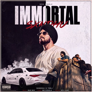 Immortal by Sxndhu, TEEJ, Mad Mix