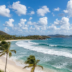 ...Virgin Island Booze by Daniel McClelland