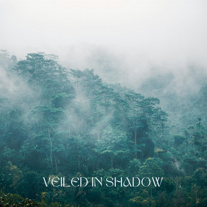 Veiled in Shadow by Ymlacio