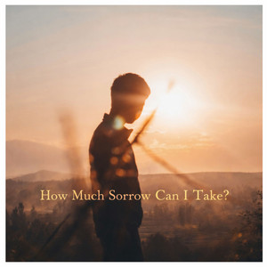 How Much Sorrow Can I Take? - Overlapped by DJ Gotta