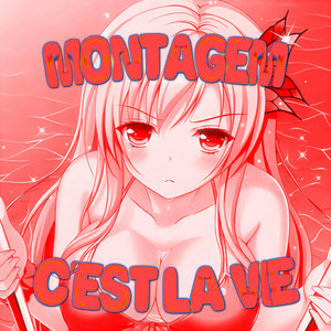 MONTAGEM SELAVI