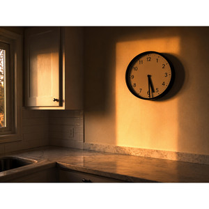 Borrowed Time by Sara Voss