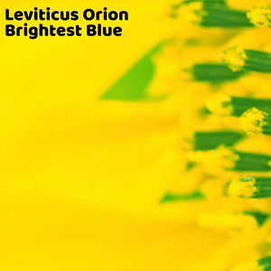 Rhopalocera by Leviticus Orion