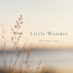 Little Wonder by Melinda Sütő