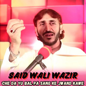 Said Wali Wazir - Che Da Yu Bal Pa Sang Ke Jwand Kawe