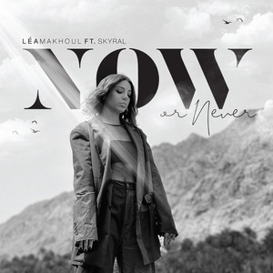 Now or Never (feat. Skyral)