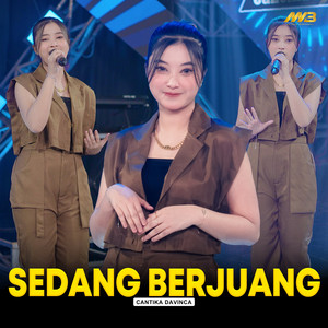 Cantika Davinca - Sedang Berjuang