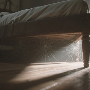 Debajo de mi cama by Kim Feroz FL
