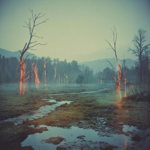 Violin forest by W-Elephant